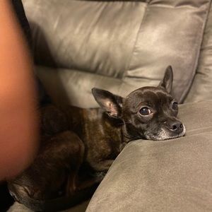 Meet your Posher, Tiffany